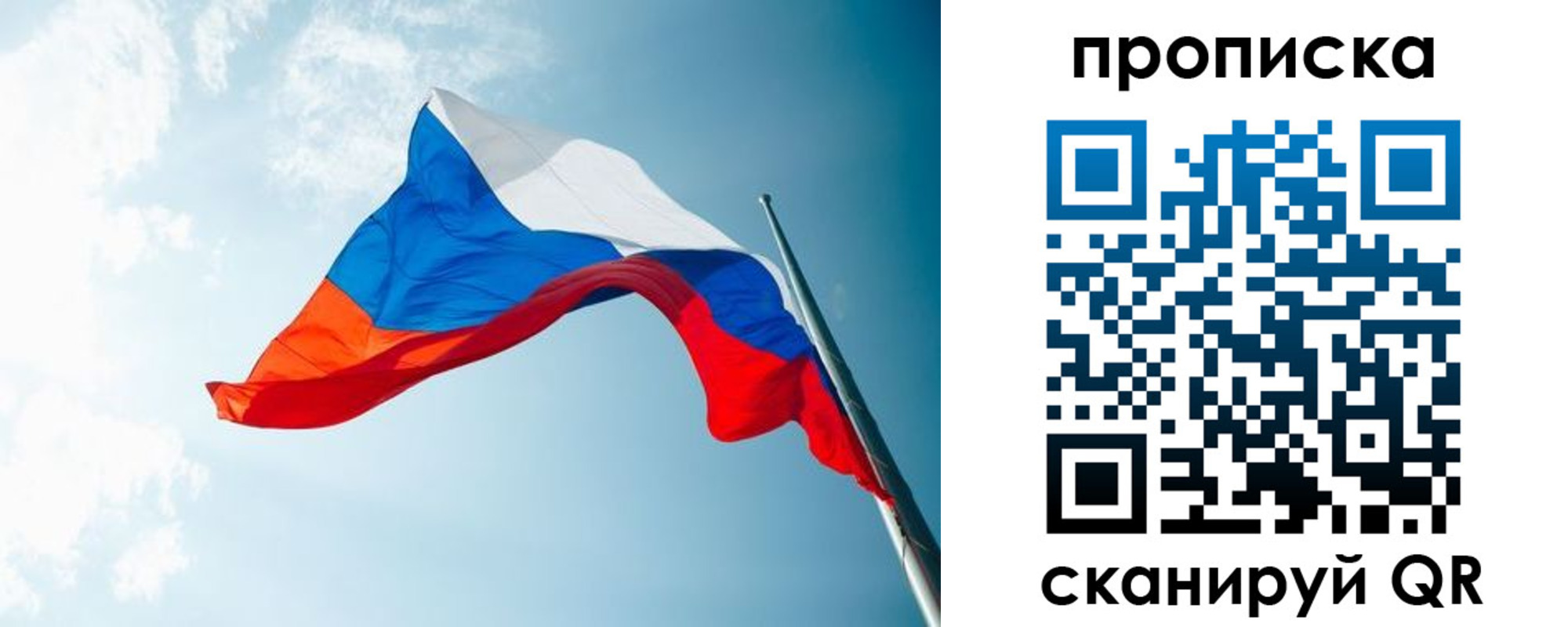 найти адрес прописки в Шебекино